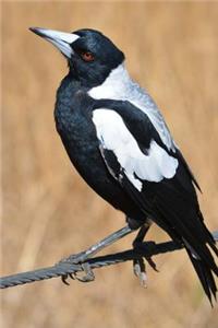 Australian Magpie Perched on a Twig Journal