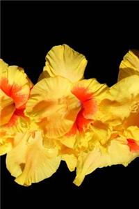 Gladioli Notebook