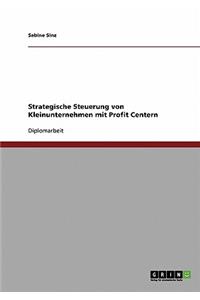 Die strategische Steuerung von Kleinunternehmen mit Profit Centern