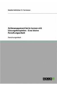 Zeitmanagement beim Lernen mit Lösungsbeispielen - Eine kleine Forschungsarbeit