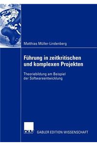 Führung in Zeitkritischen Und Komplexen Projekten