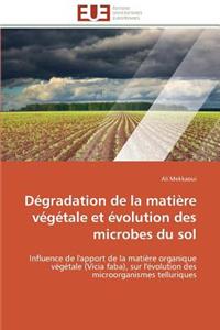 Dégradation de la Matière Végétale Et Évolution Des Microbes Du Sol