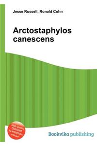 Arctostaphylos Canescens
