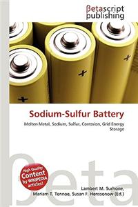 Sodium-Sulfur Battery
