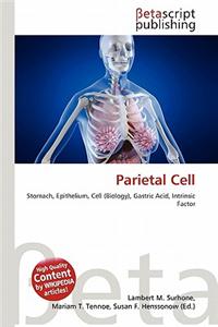 Parietal Cell