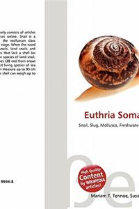 Euthria Somalica, Snail