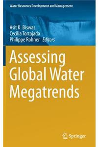 Assessing Global Water Megatrends