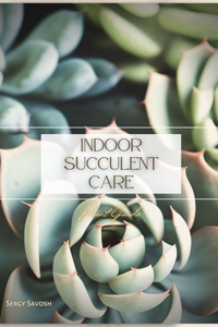 Indoor Succulent Care