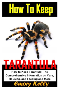 How to Keep Tarantula