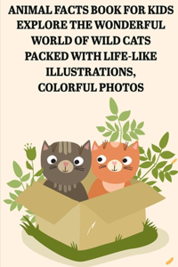 Animal Facts Book For Kids Explore The Wonderful World Of Wild Cats Packed With Life-like Illustrations, Colorful Photos
