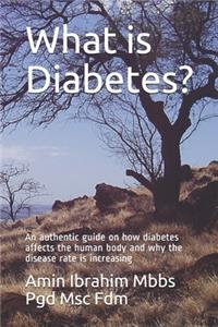 What is Diabetes?: An authentic guide on how diabetes affects the human body and why the disease rate is increasing