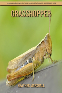 Grasshopper