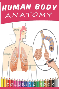 Human Body Anatomy Coloring Book