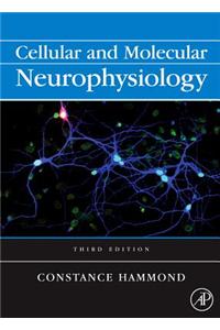 Cellular and Molecular Neurophysiology