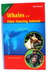 Reading 2011 Leveled Reader Grade 3.3.4 Advanced: Whales and Other Amazing Animals