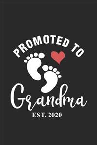 Promoted To Grandma Est. 2020