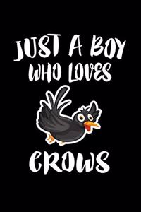 Just A Boy Who Loves Crows