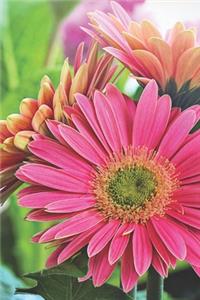 Pink Daisy Floral Journal