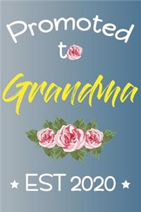 Promoted To Grandma EST 2020