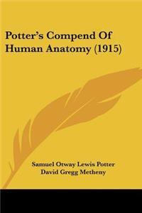 Potter's Compend Of Human Anatomy (1915)