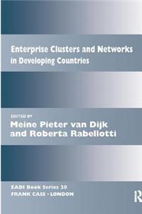 Enterprise Clusters and Networks in Developing Countries