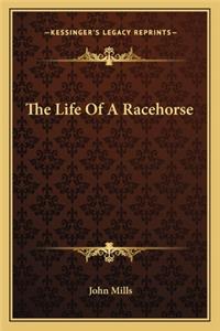 The Life of a Racehorse