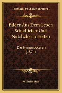 Bilder Aus Dem Leben Schadlicher Und Nutzlicher Insekten