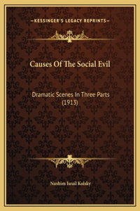 Causes Of The Social Evil