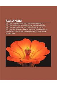Solanum: Solanum Tuberosum, Solanum Lycopersicum, Solanum Seccion Lycopersicon, Papa Silvestre, Solanum Melongena, Solanum Sess