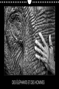 Des Elephants Et Des Hommes 2017