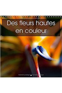 Des Fleurs Hautes En Couleur 2018