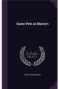 Queer Pets at Marcy's