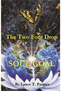 two foot drop