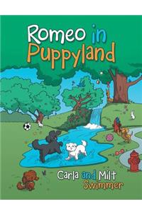 Romeo in Puppyland