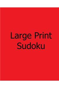 Large Print Sudoku