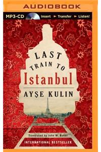 Last Train to Istanbul