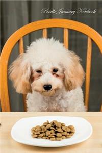 Poodle January Notebook Poodle Record, Log, Diary, Special Memories, To Do List, Academic Notepad, Scrapbook & More