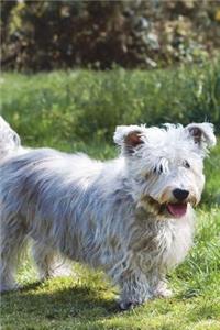 The Irish Glen of Imaal Terrier Dog Journal