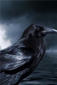 Black Crow