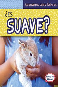 ¿Es Suave? (What Is Soft?)