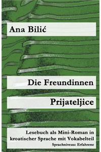 Die Freundinnen / Prijateljice: Lesebuch ALS Mini-Roman in Kroatischer Sprache Mit Vokabelteil