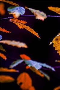 Black Autumn Journal