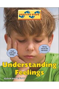 Understanding Feelings