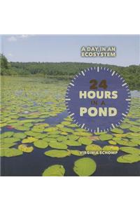 24 Hours in a Pond