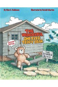 Wonderful One-Eyed Teddy Bear