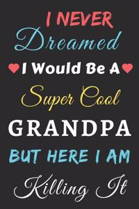 I Never Dreamed I Would Be A Super Cool Grandpa But Here I am Killing It