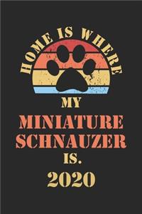 Miniature Schnauzer 2020