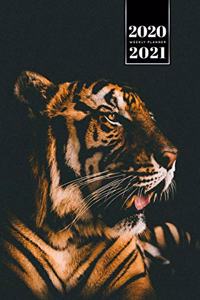 Tiger Week Planner Weekly Organizer Calendar 2020 / 2021 - In the Dark