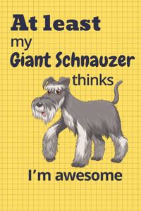 At least My Giant Schnauzer thinks I'm awesome