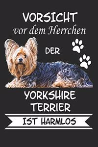 Vorsicht vor dem Herrchen der Yorkshire Terrier ist Harmlos